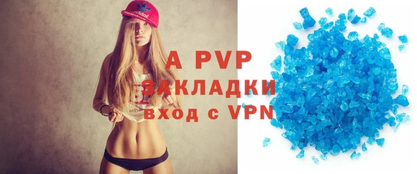 шишки Сатка