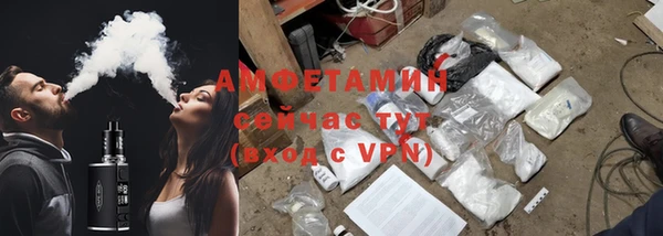 шишки Сатка