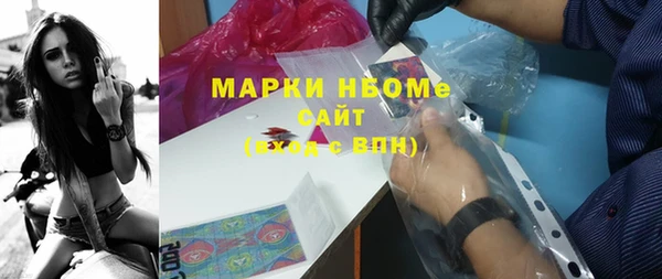шишки Сатка