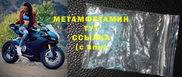шишки Сатка