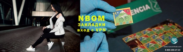 шишки Сатка