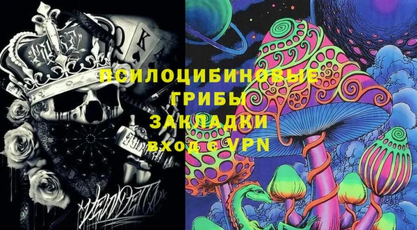 шишки Сатка