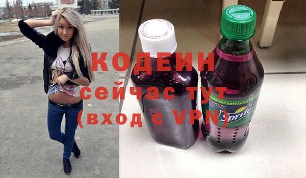 шишки Сатка