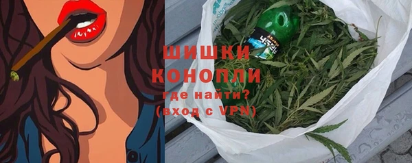 шишки Сатка