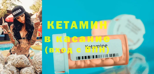 шишки Сатка