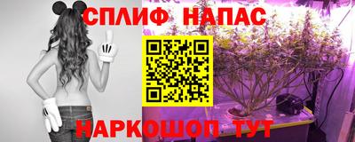 метадон Гусев