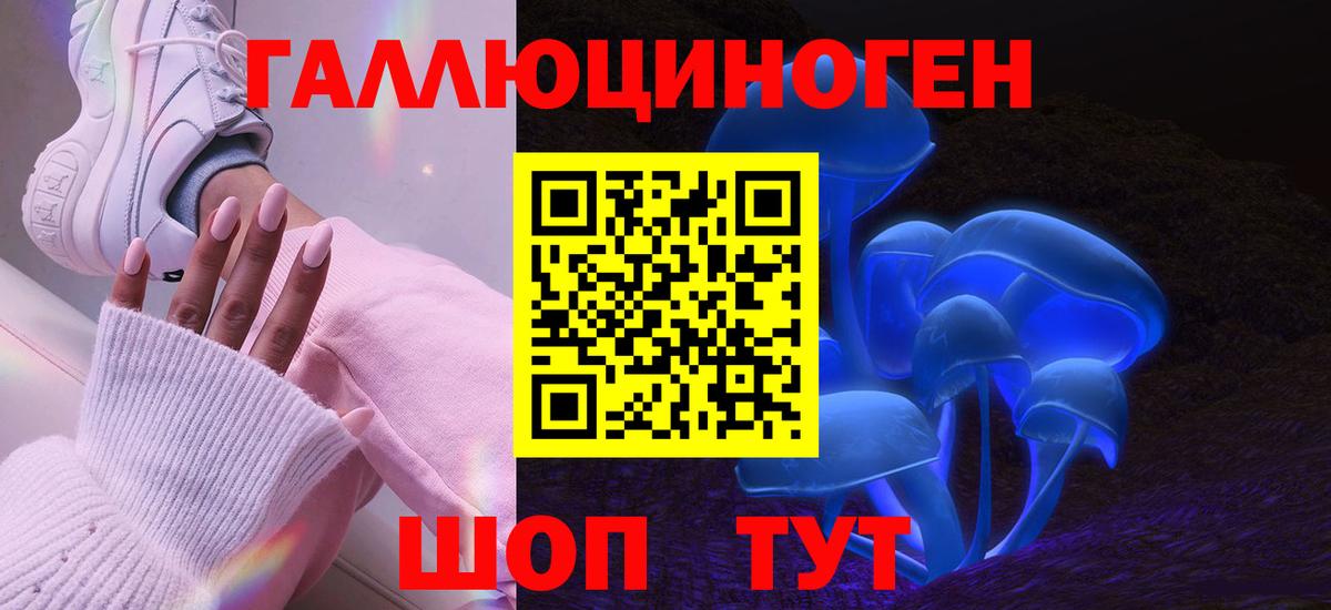 Сафоново  Псилоцибиновые грибы Psilocybe  Вход с VPN  Галлюциногенные грибы GOLDEN TEACHER 